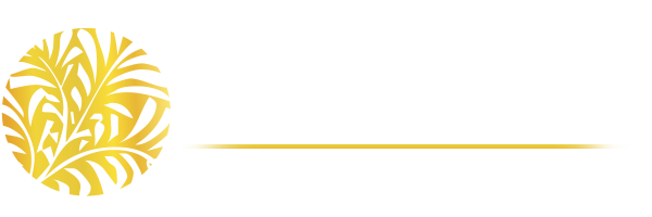 Palmetto Web Design, Columbia, SC